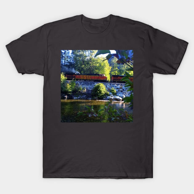 Trains T-Shirt by Nenas60